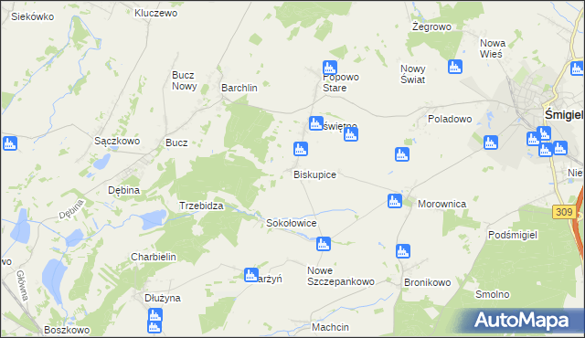 mapa Biskupice gmina Przemęt, Biskupice gmina Przemęt na mapie Targeo