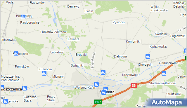 mapa Bogusławice gmina Wolbórz, Bogusławice gmina Wolbórz na mapie Targeo