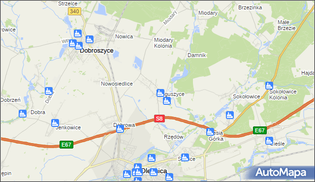 mapa Boguszyce gmina Oleśnica, Boguszyce gmina Oleśnica na mapie Targeo