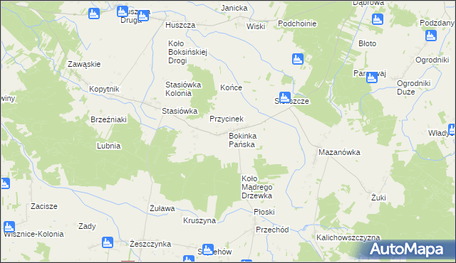 mapa Bokinka Pańska, Bokinka Pańska na mapie Targeo