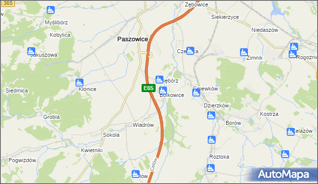 mapa Bolkowice gmina Paszowice, Bolkowice gmina Paszowice na mapie Targeo