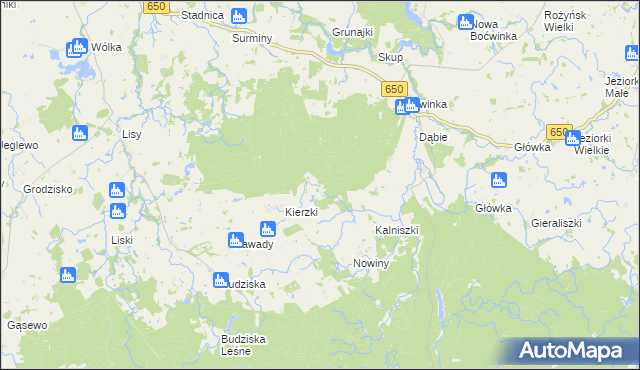 mapa Borek gmina Banie Mazurskie, Borek gmina Banie Mazurskie na mapie Targeo