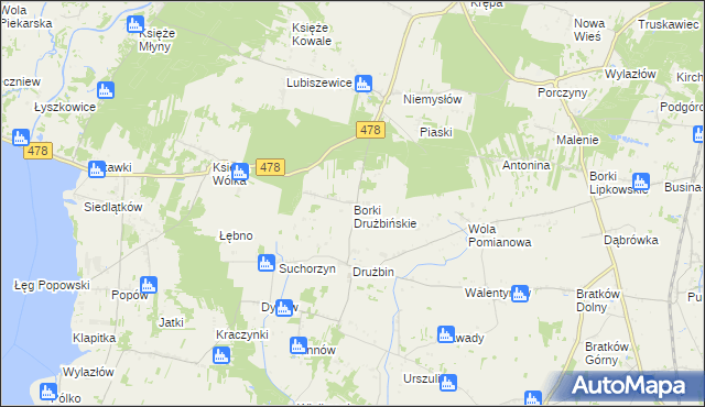 mapa Borki Drużbińskie, Borki Drużbińskie na mapie Targeo