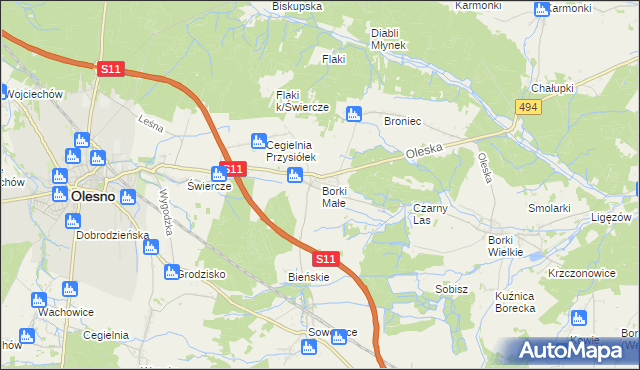 mapa Borki Małe gmina Olesno, Borki Małe gmina Olesno na mapie Targeo