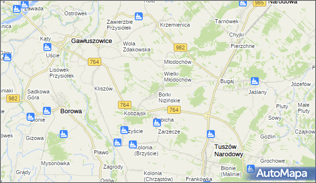 mapa Borki Nizińskie, Borki Nizińskie na mapie Targeo