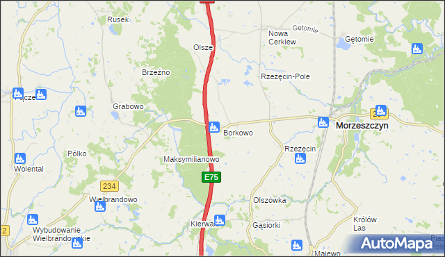 mapa Borkowo gmina Morzeszczyn, Borkowo gmina Morzeszczyn na mapie Targeo