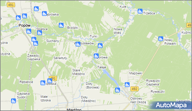 mapa Borowa gmina Miedźno, Borowa gmina Miedźno na mapie Targeo