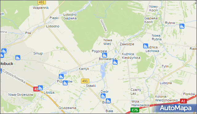 mapa Borowianka, Borowianka na mapie Targeo