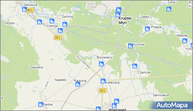 mapa Borowiany, Borowiany na mapie Targeo