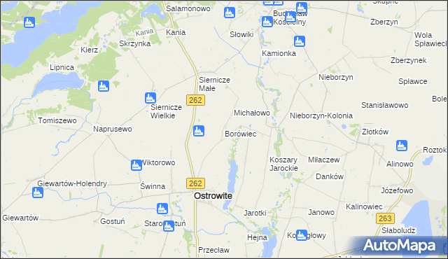 mapa Borówiec gmina Ostrowite, Borówiec gmina Ostrowite na mapie Targeo