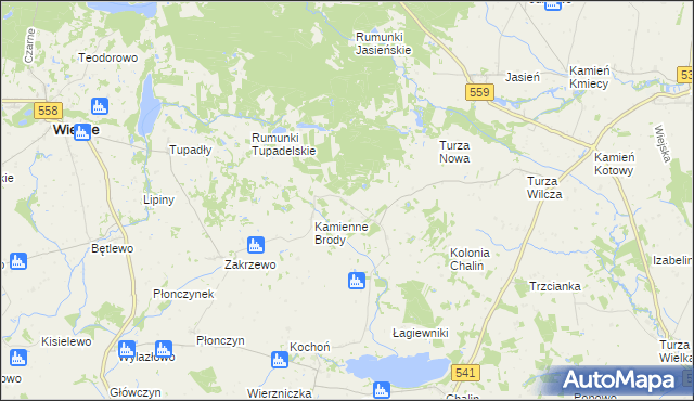 mapa Borowo gmina Tłuchowo, Borowo gmina Tłuchowo na mapie Targeo