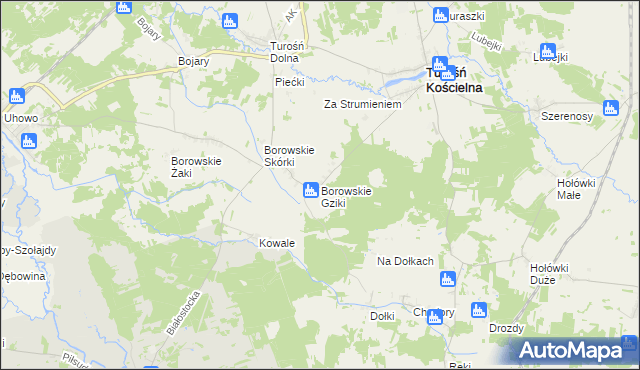 mapa Borowskie Gziki, Borowskie Gziki na mapie Targeo