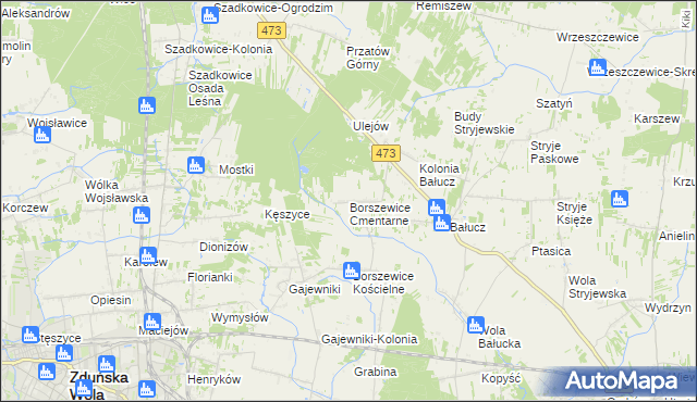 mapa Borszewice Cmentarne, Borszewice Cmentarne na mapie Targeo