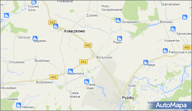 mapa Borzykowo gmina Kołaczkowo, Borzykowo gmina Kołaczkowo na mapie Targeo