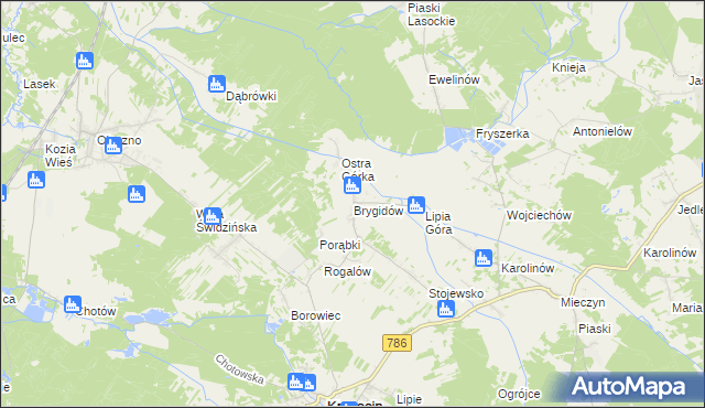 mapa Brygidów, Brygidów na mapie Targeo