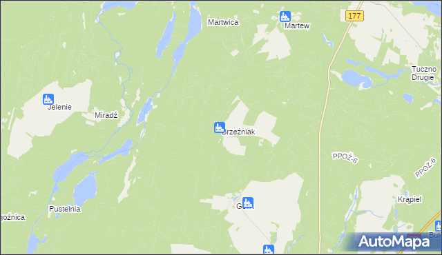 mapa Brzeźniak gmina Człopa, Brzeźniak gmina Człopa na mapie Targeo