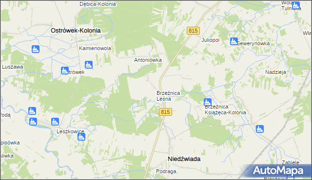 mapa Brzeźnica Leśna, Brzeźnica Leśna na mapie Targeo