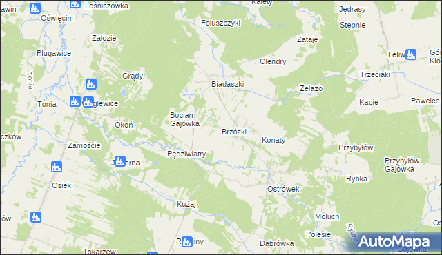 mapa Brzózki gmina Galewice, Brzózki gmina Galewice na mapie Targeo