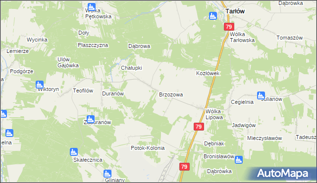 mapa Brzozowa gmina Tarłów, Brzozowa gmina Tarłów na mapie Targeo