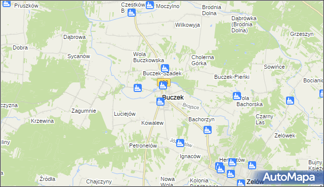 mapa Buczek powiat łaski, Buczek powiat łaski na mapie Targeo