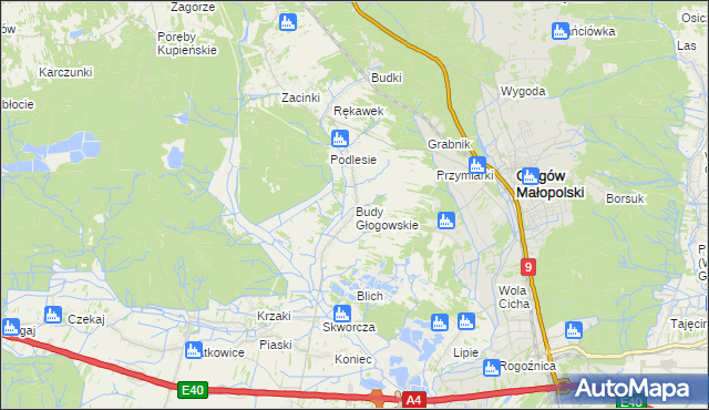 mapa Budy Głogowskie, Budy Głogowskie na mapie Targeo