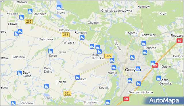 mapa Budy Kozickie, Budy Kozickie na mapie Targeo