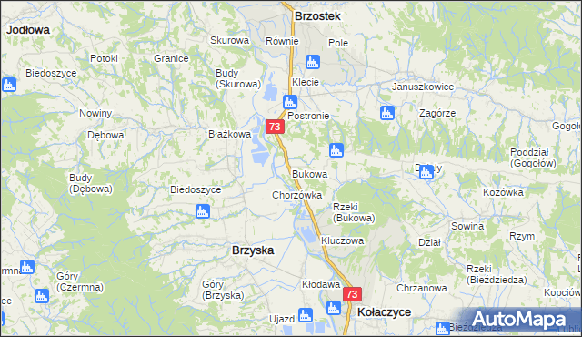 mapa Bukowa gmina Brzostek, Bukowa gmina Brzostek na mapie Targeo