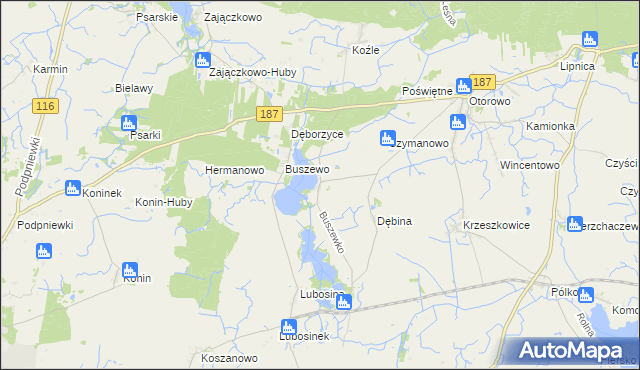 mapa Buszewko gmina Pniewy, Buszewko gmina Pniewy na mapie Targeo