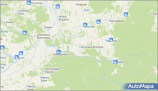 mapa Cecylówka-Brzózka, Cecylówka-Brzózka na mapie Targeo