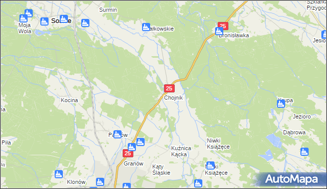 mapa Chojnik gmina Sośnie, Chojnik gmina Sośnie na mapie Targeo