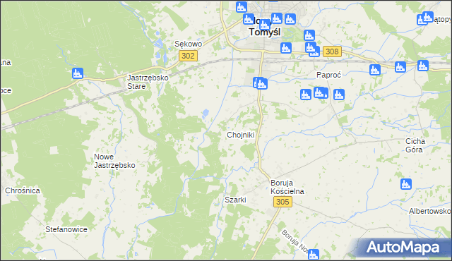 mapa Chojniki gmina Nowy Tomyśl, Chojniki gmina Nowy Tomyśl na mapie Targeo