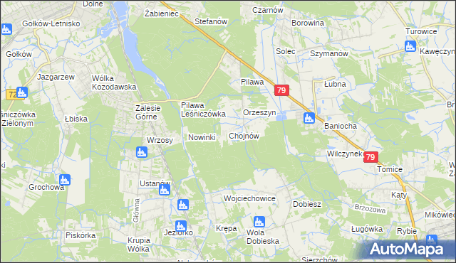 mapa Chojnów gmina Piaseczno, Chojnów gmina Piaseczno na mapie Targeo