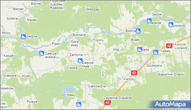mapa Cieśle gmina Pątnów, Cieśle gmina Pątnów na mapie Targeo