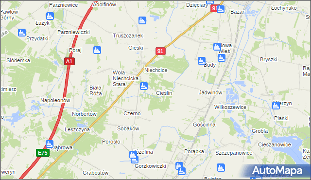 mapa Cieślin gmina Rozprza, Cieślin gmina Rozprza na mapie Targeo