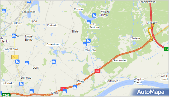 mapa Czapelki gmina Świecie, Czapelki gmina Świecie na mapie Targeo