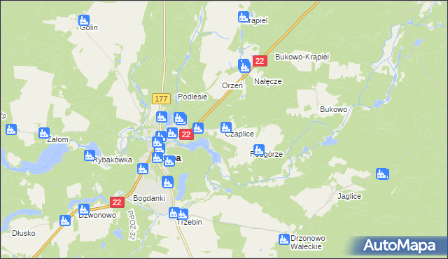 mapa Czaplice gmina Człopa, Czaplice gmina Człopa na mapie Targeo