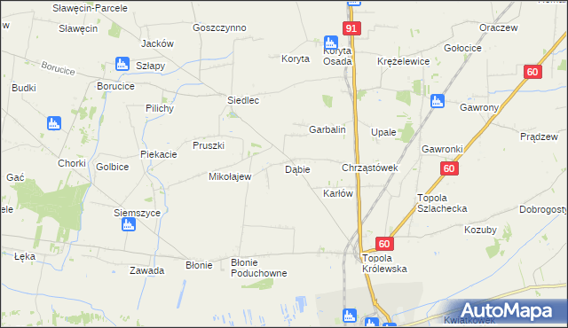 mapa Dąbie gmina Łęczyca, Dąbie gmina Łęczyca na mapie Targeo