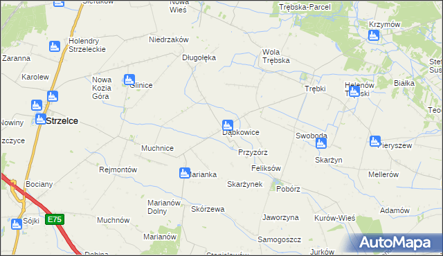 mapa Dąbkowice gmina Strzelce, Dąbkowice gmina Strzelce na mapie Targeo