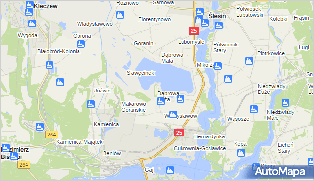 mapa Dąbrowa Duża gmina Ślesin, Dąbrowa Duża gmina Ślesin na mapie Targeo