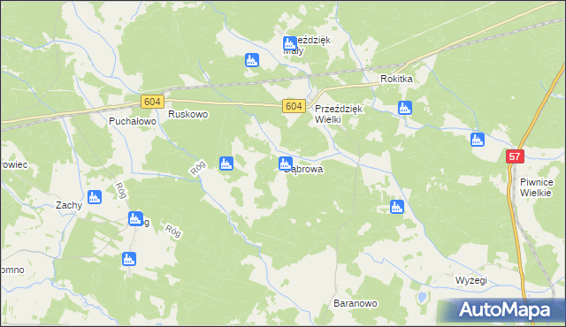 mapa Dąbrowa gmina Wielbark, Dąbrowa gmina Wielbark na mapie Targeo