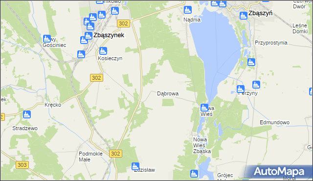 mapa Dąbrowa gmina Zbąszyń, Dąbrowa gmina Zbąszyń na mapie Targeo