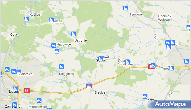 mapa Dąbrowa Górna gmina Lubin, Dąbrowa Górna gmina Lubin na mapie Targeo