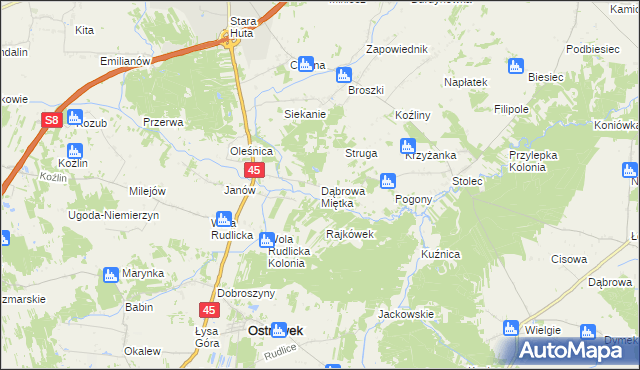 mapa Dąbrowa Miętka, Dąbrowa Miętka na mapie Targeo