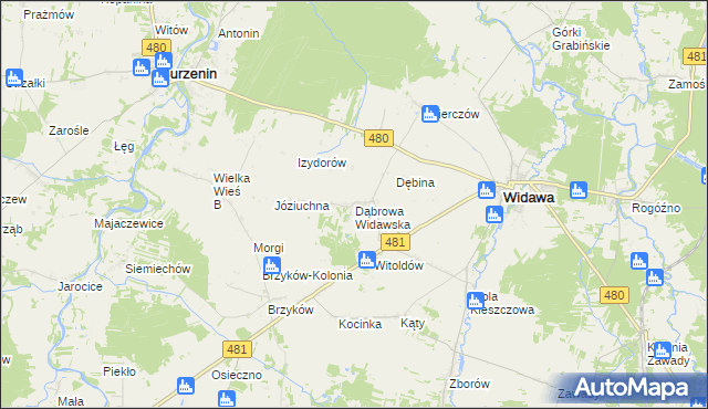 mapa Dąbrowa Widawska, Dąbrowa Widawska na mapie Targeo