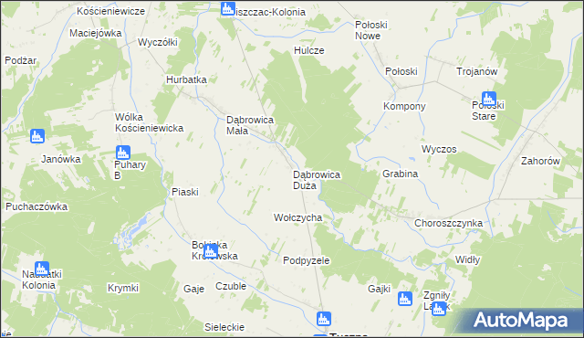 mapa Dąbrowica Duża gmina Tuczna, Dąbrowica Duża gmina Tuczna na mapie Targeo