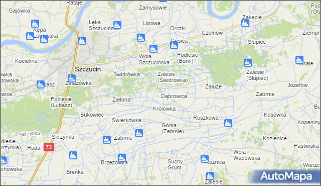 mapa Dąbrowica gmina Szczucin, Dąbrowica gmina Szczucin na mapie Targeo