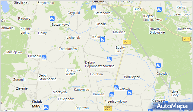 mapa Dębno Królewskie, Dębno Królewskie na mapie Targeo