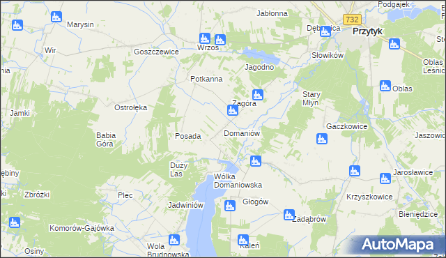 mapa Domaniów gmina Przytyk, Domaniów gmina Przytyk na mapie Targeo