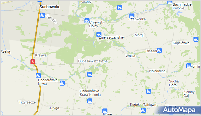 mapa Dubasiewskie Kolonie, Dubasiewskie Kolonie na mapie Targeo