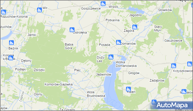 mapa Duży Las gmina Przytyk, Duży Las gmina Przytyk na mapie Targeo